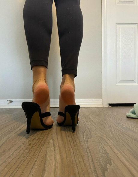 Ivorysoles photo 195