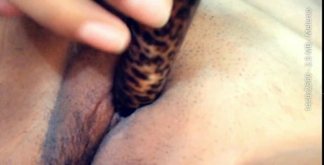 Jazmin Gurrola photo 109