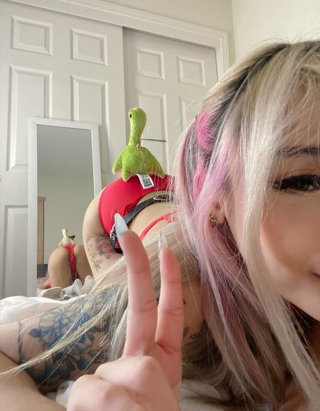 Jelwy photo 1