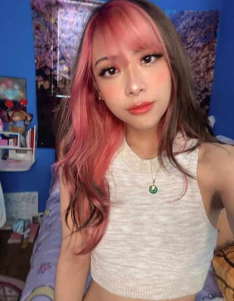 Jelwy photo 6