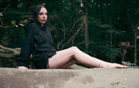 Jensteviexo photo 13