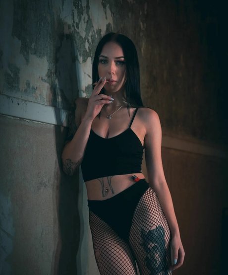 Jensteviexo photo 14