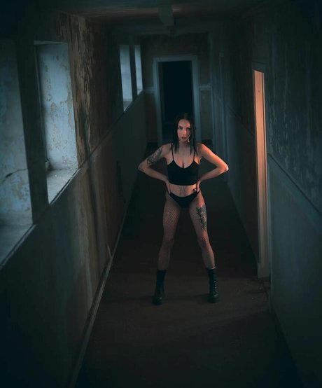 Jensteviexo photo 15