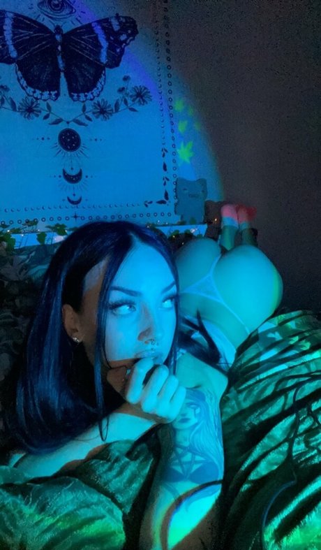 Jensteviexo photo 33