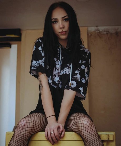 Jensteviexo photo 39