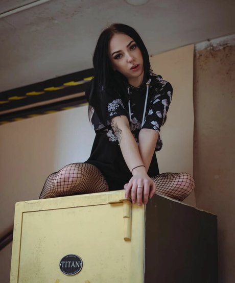 Jensteviexo photo 40