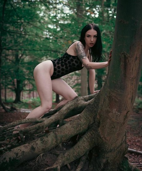 Jensteviexo photo 42