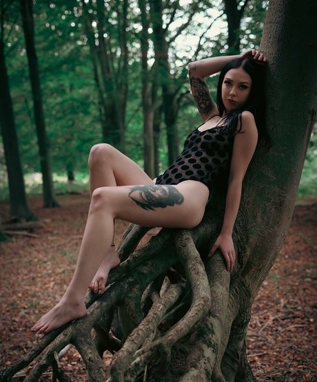 Jensteviexo photo 44