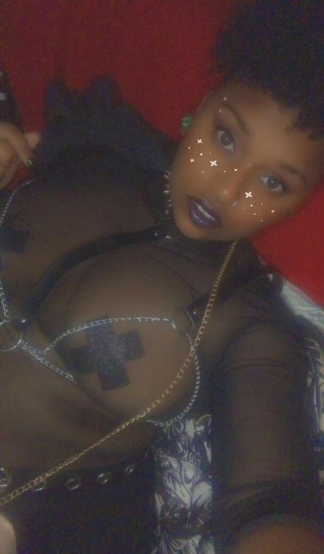 Jewel_kitten_free photo 15