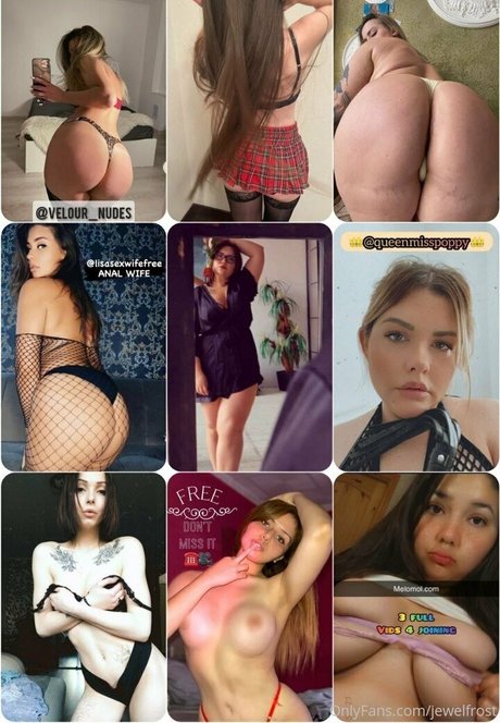 Jewel_kitten_free photo 26
