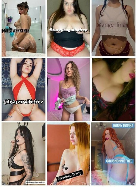 Jewel_kitten_free photo 42