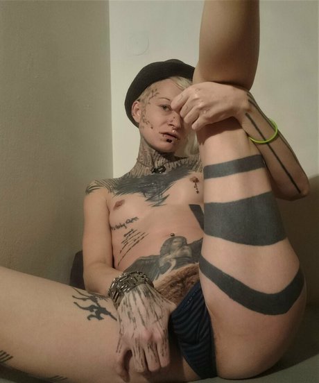 Jokers-free photo 30