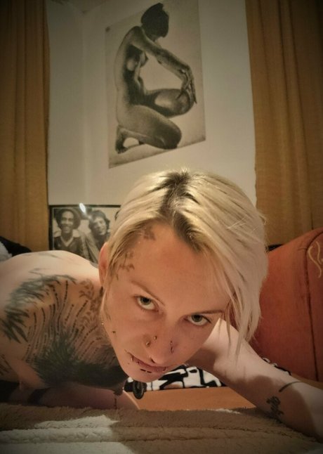 Jokers-free photo 64