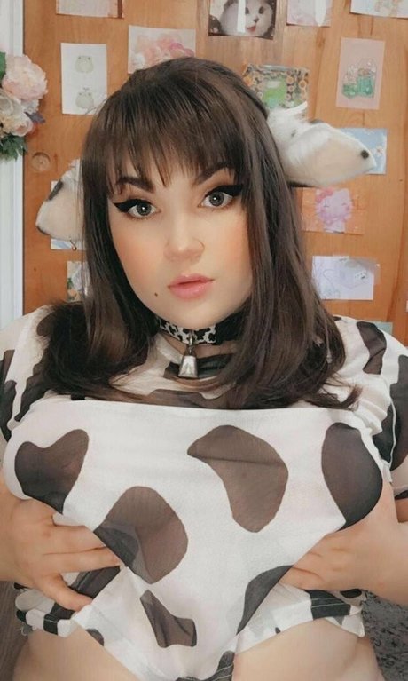 Jordannitex photo 34