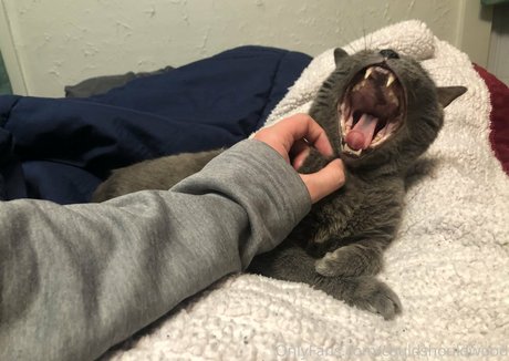 Juliabrookec photo 27