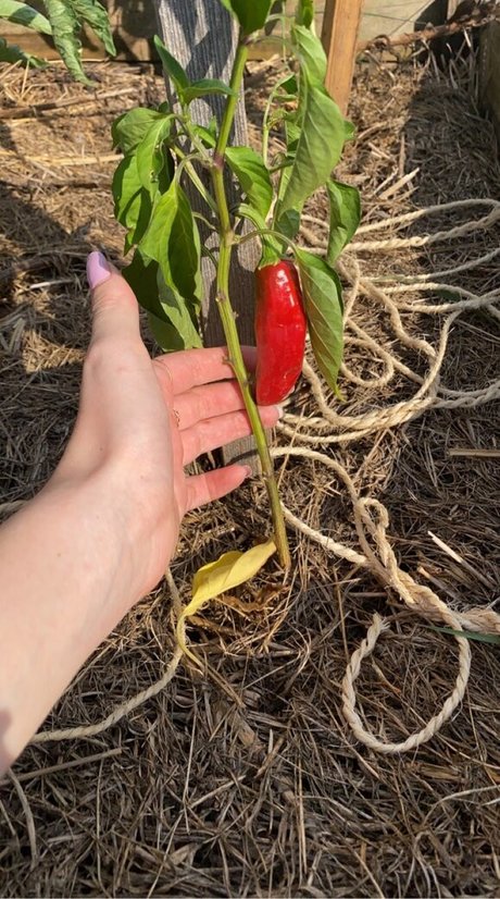 _.k_baarbiee_ photo 28