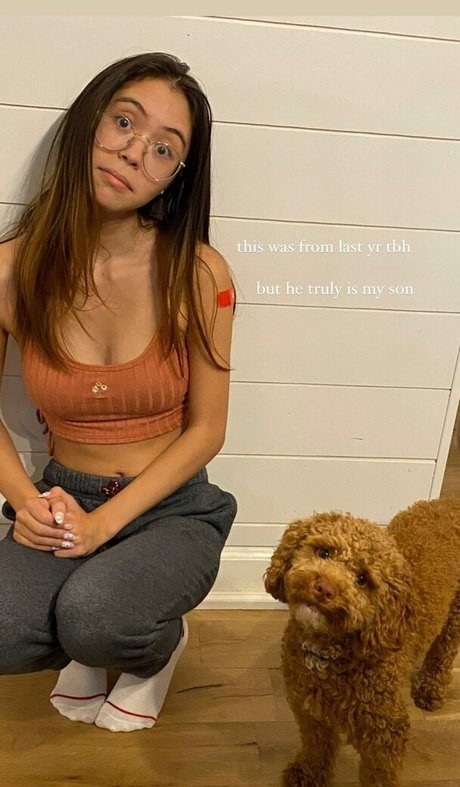 Kaiju_rose photo 499