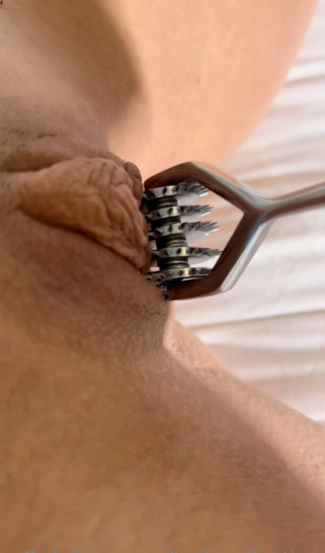 Kaitscollection photo 6