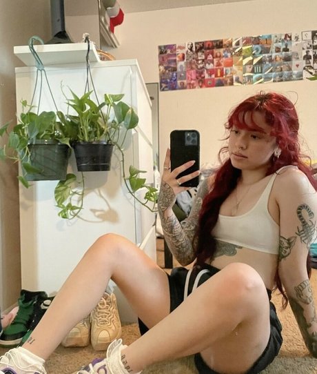 Kamikoko photo 1