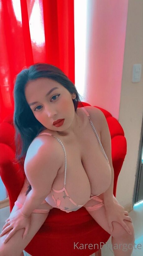 Karen Pinargote Torres photo 46