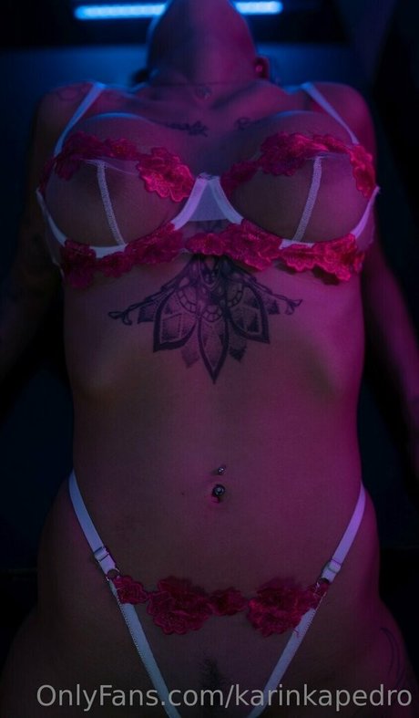 Karinkapedro photo 198