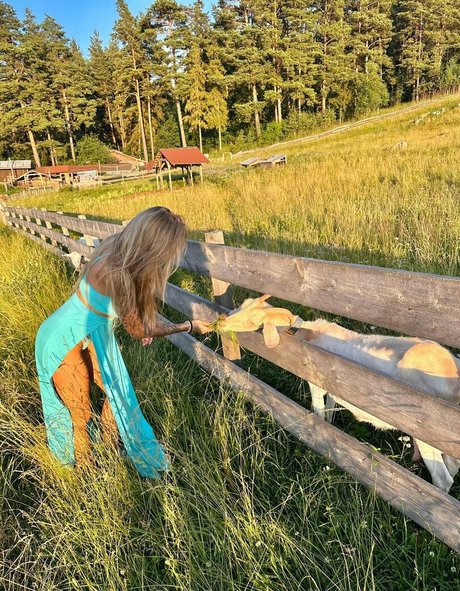 Karinkapedro photo 630