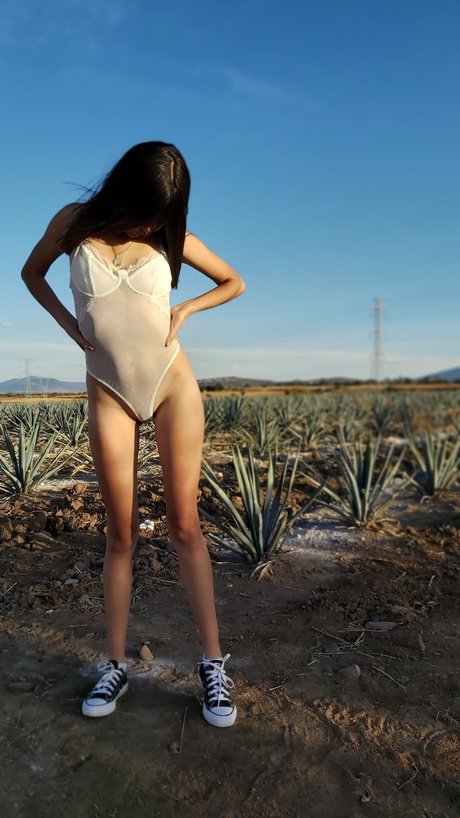 Karol Smith photo 404