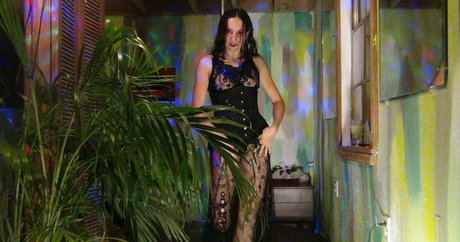 Katcalico photo 50