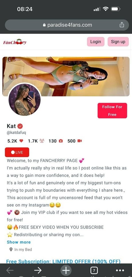 Katdgaf photo 2