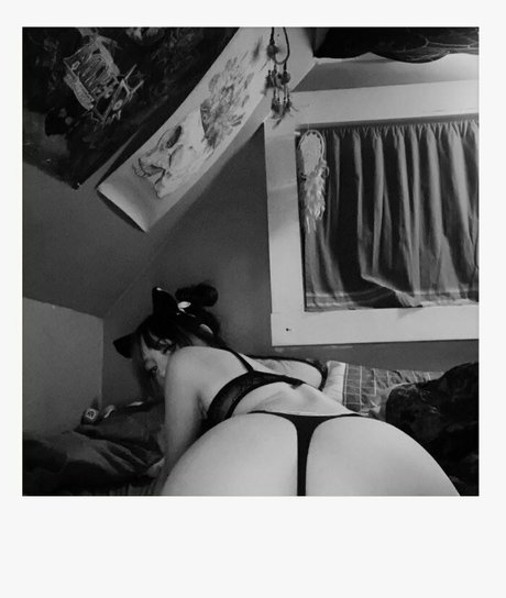Kayl3yz photo 14