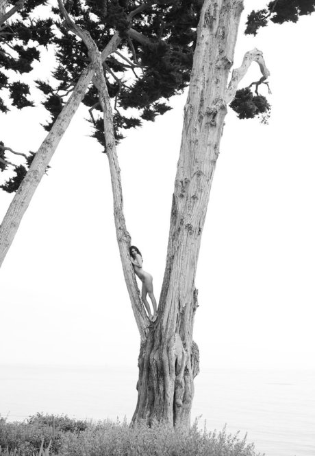 Kendall Jenner photo 275