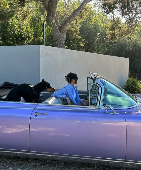 Kendall Jenner photo 679