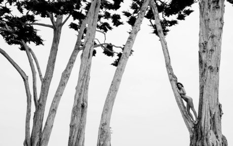 Kendall Jenner photo 1076