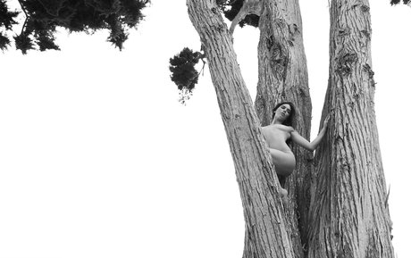 Kendall Jenner photo 1472