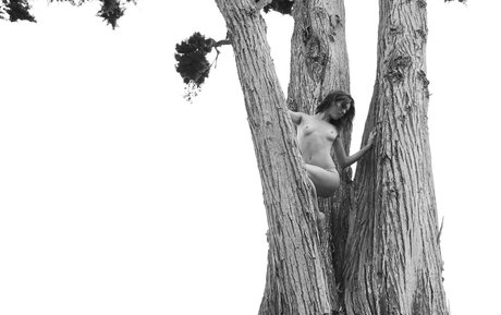 Kendall Jenner photo 1474