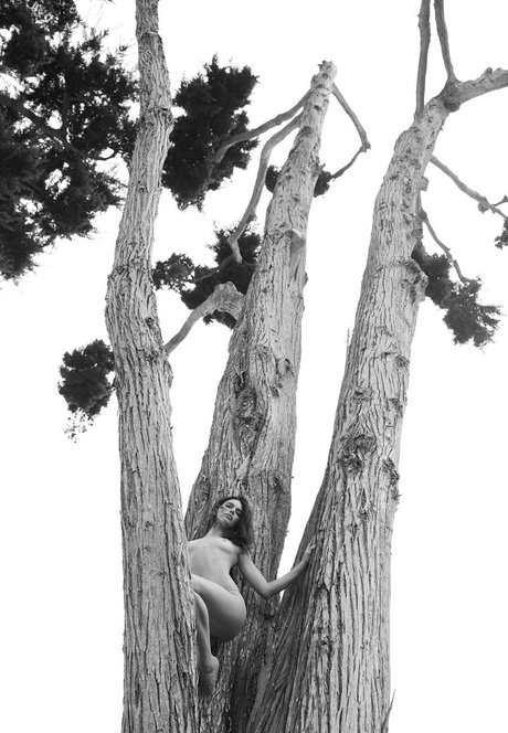 Kendall Jenner photo 1475