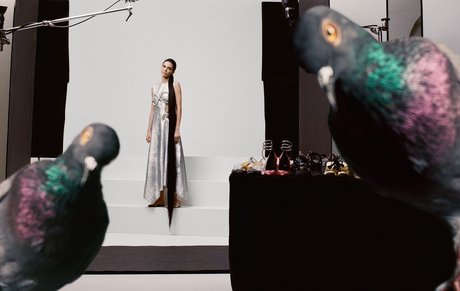 Kendall Jenner photo 1643