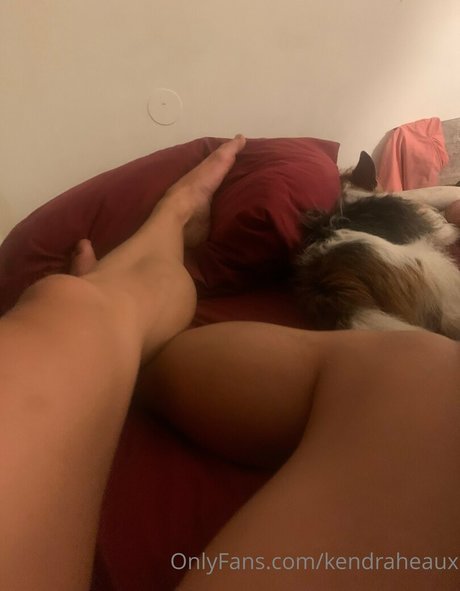 Kendraheaux photo 49