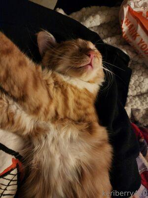 keriberry_420 photo 247