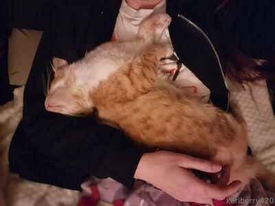 keriberry_420 photo 255