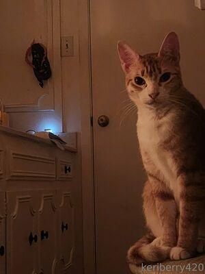 keriberry_420 photo 459