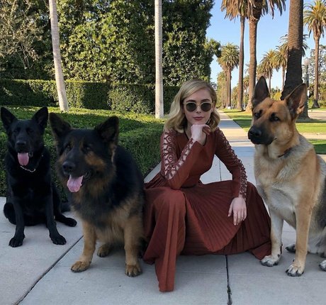 Kiernan Shipka photo 320