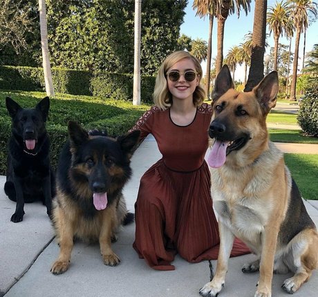 Kiernan Shipka photo 321