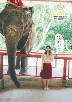 Kikuchi Hina photo 56