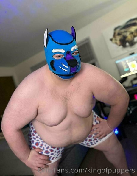 Kingofpuppers photo 95