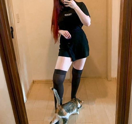 Kisankannafree photo 27