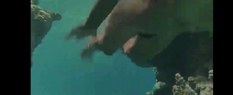 Kitty_bit_games photo 93