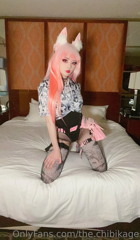 KittyCat photo 3