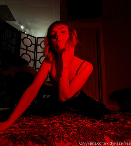 Kittykass-free photo 11