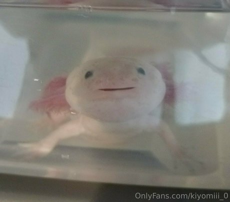 Kiyomiii_0 photo 192